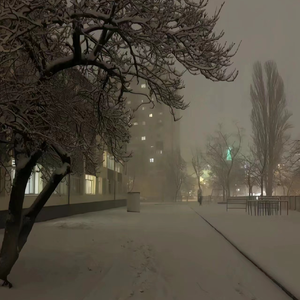 极品粉嫩小仙女小穴69XX
